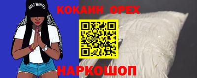 стафф Гатчина