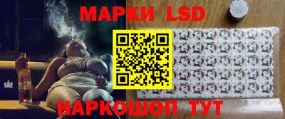 стафф Гатчина
