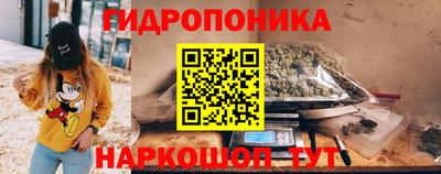 стафф Гатчина