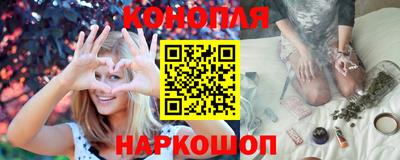 стафф Гатчина