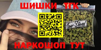 стафф Гатчина