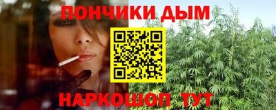 ALPHA PVP Гай
