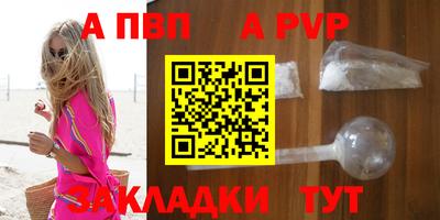 стафф Гатчина