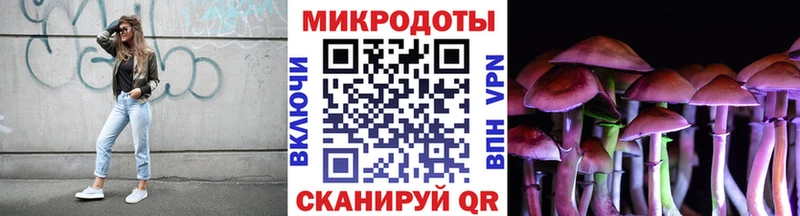 дарк нет Telegram  продажа наркотиков  Елабуга  Псилоцибиновые грибы мицелий  гидра ССЫЛКА 