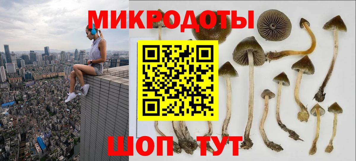 Галлюциногенные грибы Psilocybe  Псилоцибиновые грибы ЛСД  Вход с VPN  Елабуга 