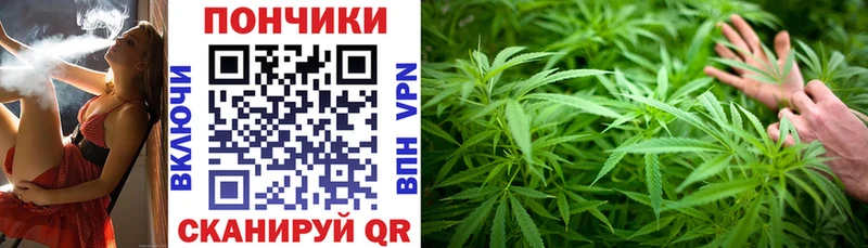 где купить   маркетплейс телеграм  Шишки марихуана OG Kush  Елабуга 